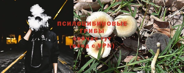 прущая мука Богородск