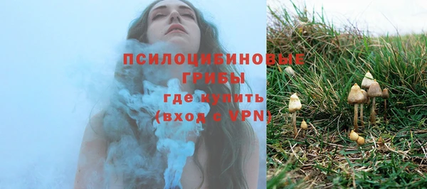 МДМА Богданович