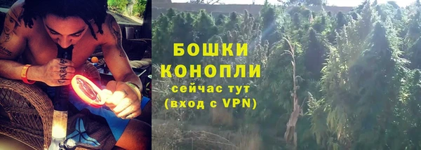 мдпв Рославль