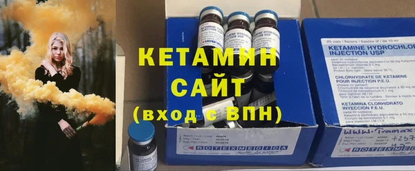 индика Губаха