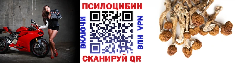 закладки Очёр Псилоцибиновые грибы GOLDEN TEACHER